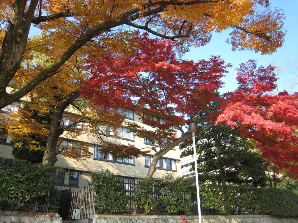 Hotel Kkr Kyoto Kuniso Esterno foto